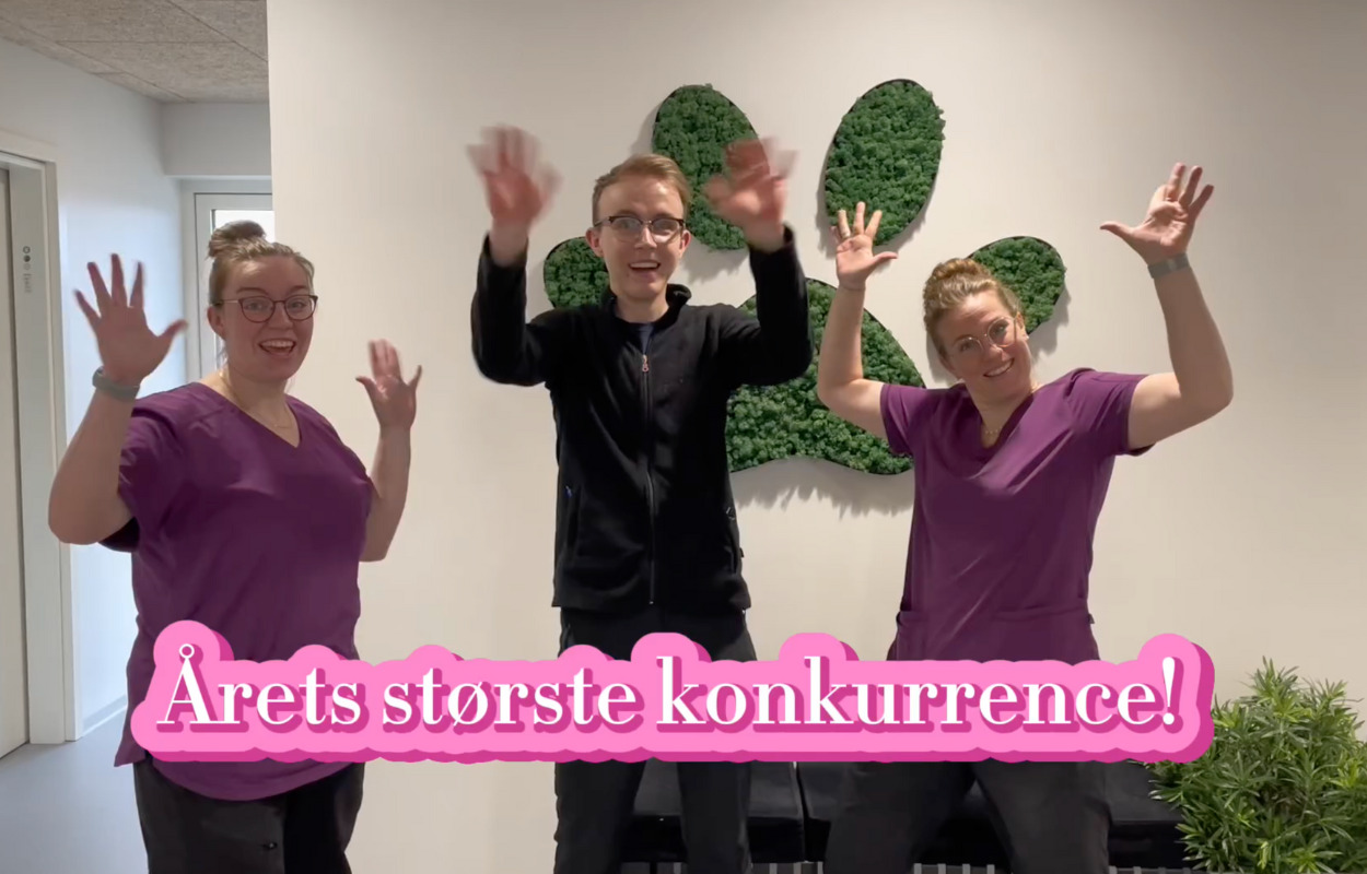 Vind stor præmiepakke til dit kæledyr i Center Dyrekliniks Instagram konkurrence