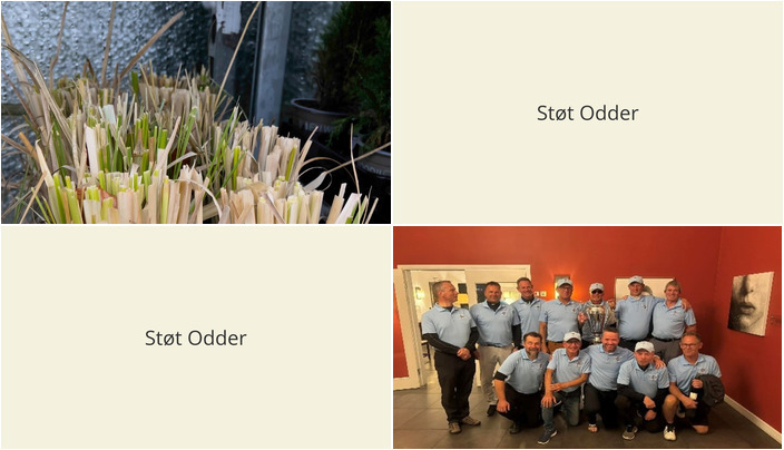 Nyt fra Midtjysk blomstermarked  og StensballeGaard Golfklub