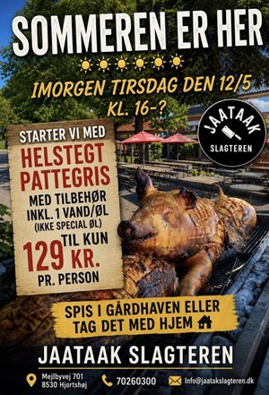 opslagsbillede