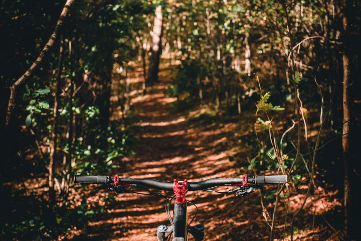 Opslagstavlen: Nyeste opdateringer fra Vejle