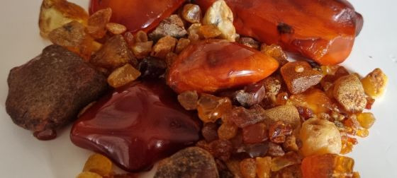 Udforsk ravets verden på Hugdrupgaard i efterårsferien