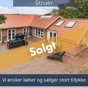 Opslagsbillede