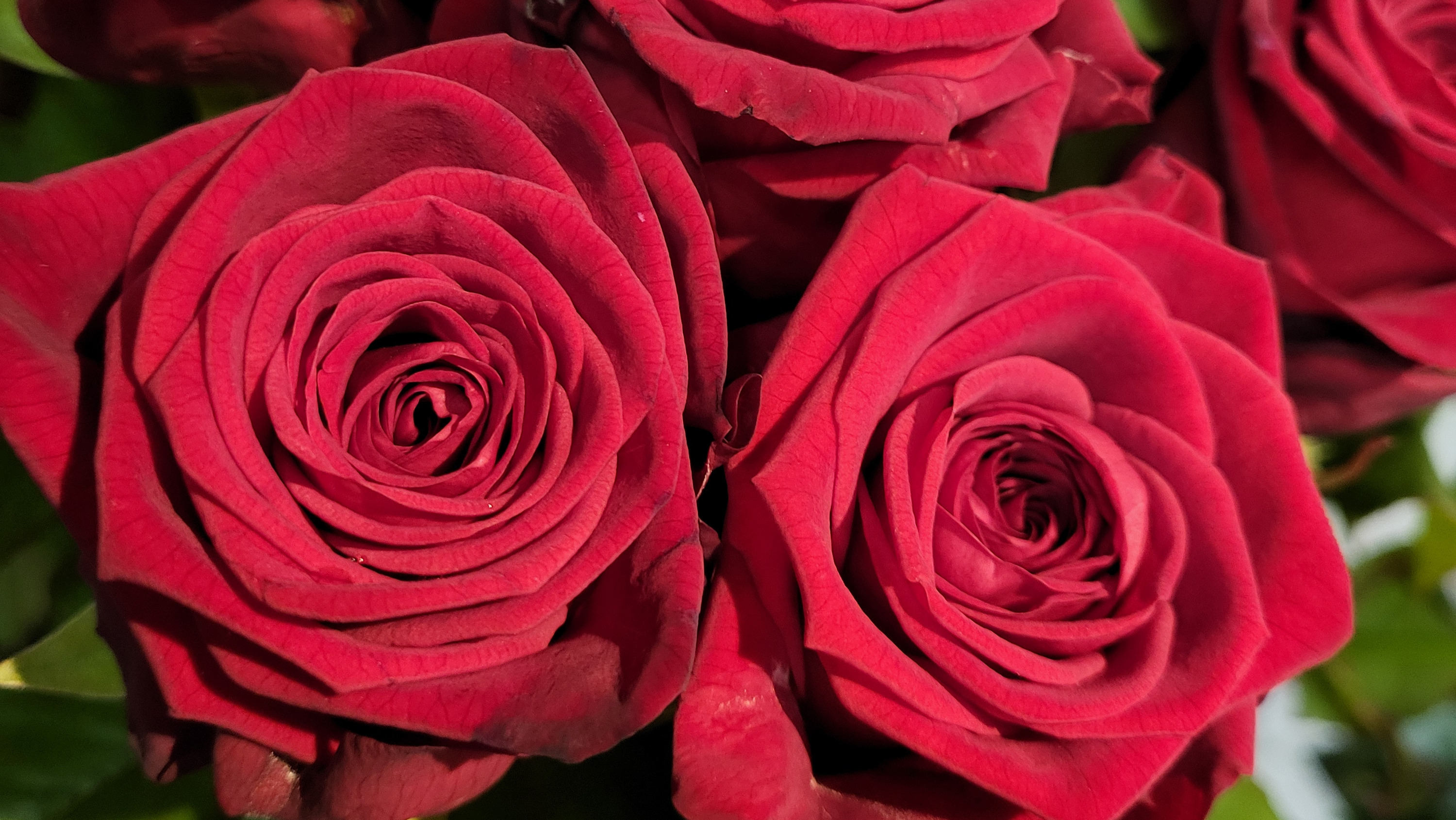 Forkæl mor med blomster fra Asmild Plantecenter denne mors dag