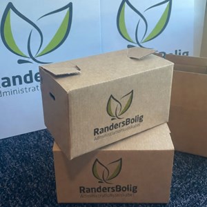 Opslagsbillede