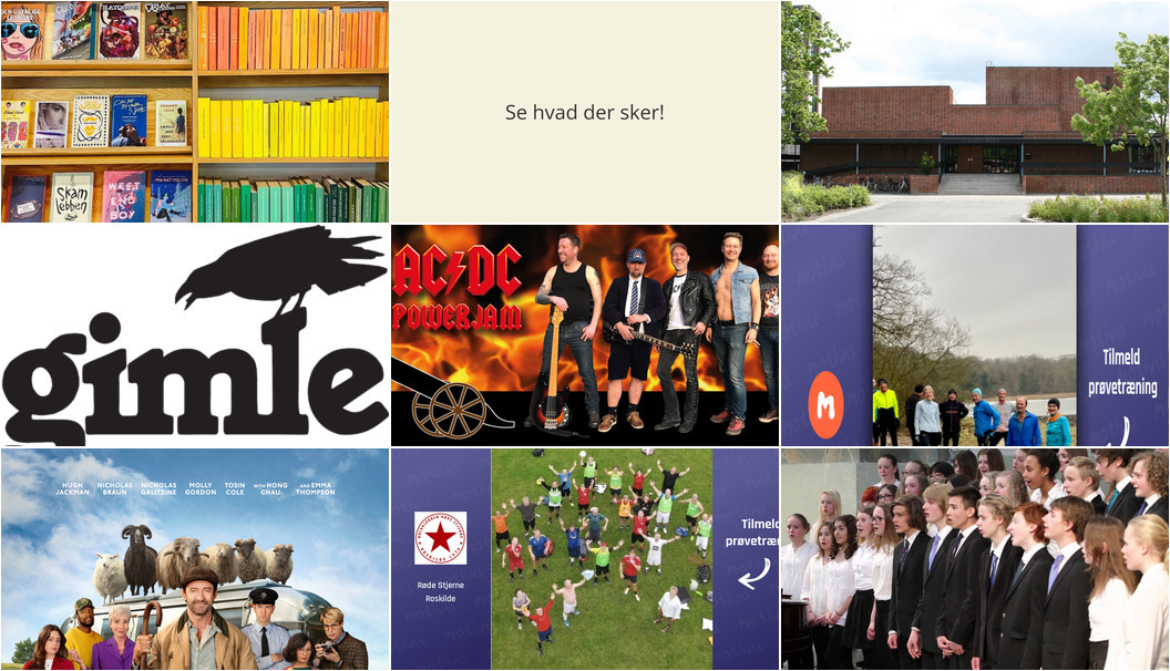 Weekendaktiviteter i Roskilde: Læsning, musik og mere