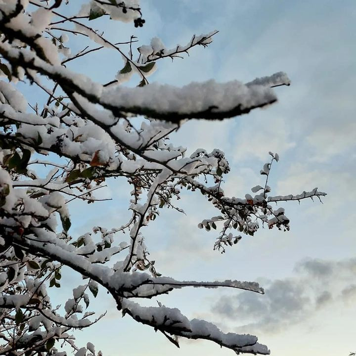 Hold trit med lokalområdet: Nyt fra Hammel