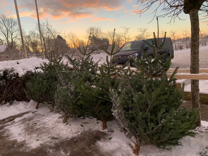 En finger på pulsen i Brønderslev