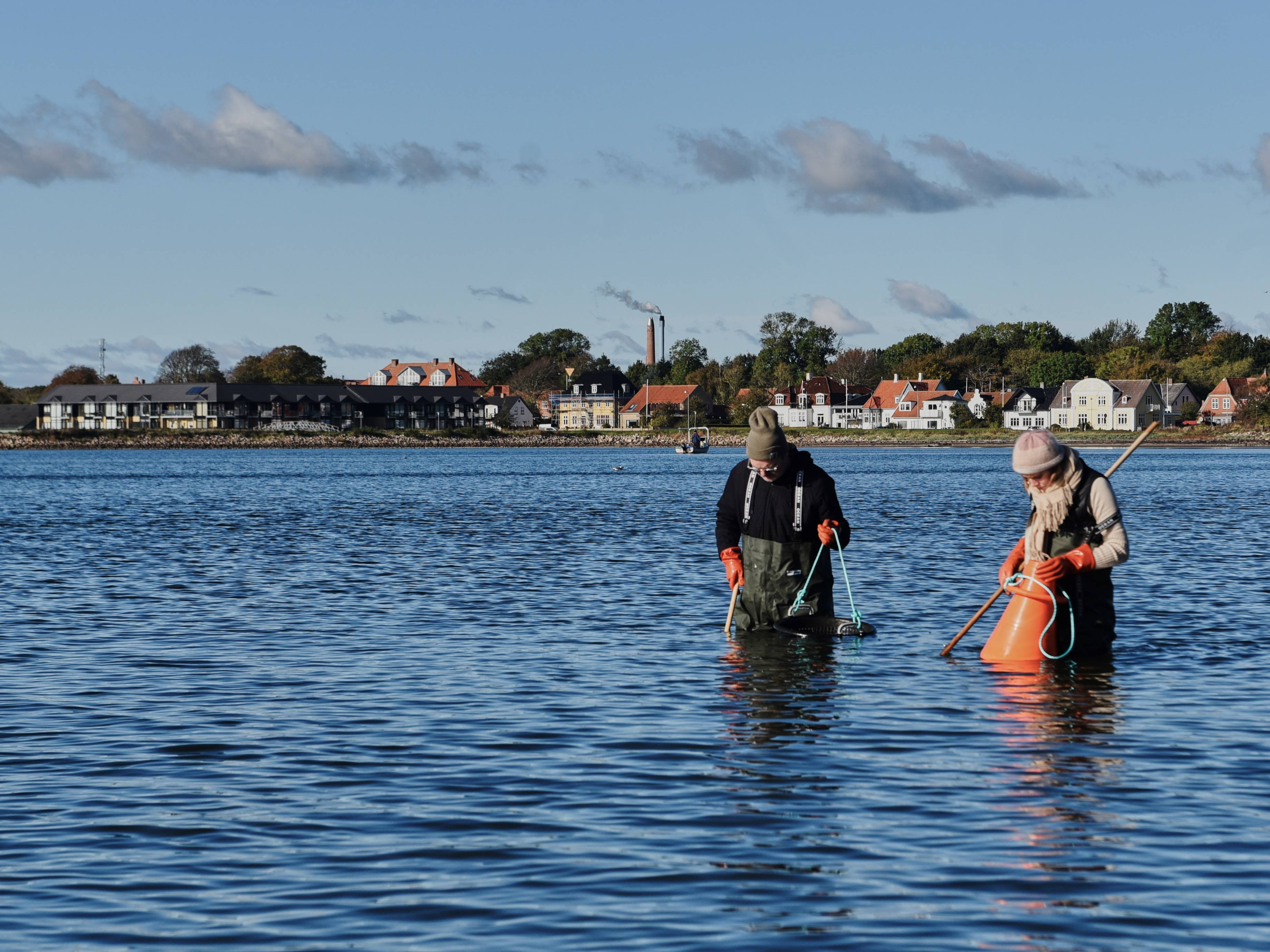Østerssafari ved Limfjorden: En smagfuld oplevelse
