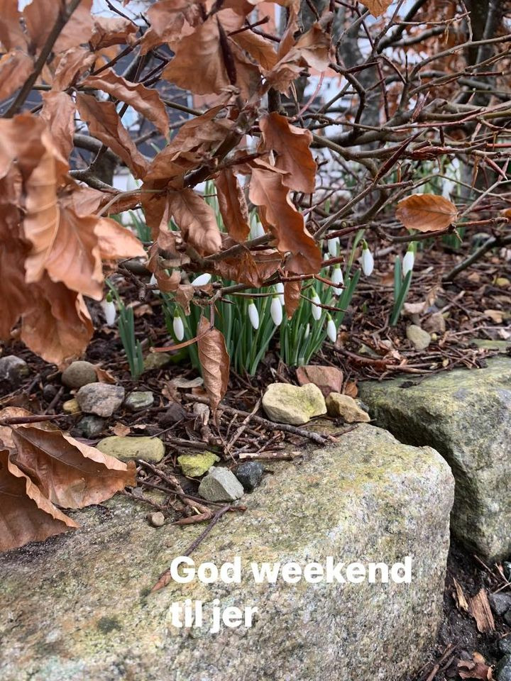 Se dagens updates fra Vejle her