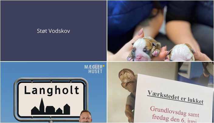 Nyt fra Vodskov Dyreklinik v/Thorstein Arnason, Mæglerhuset og Ulsted Autoværksted