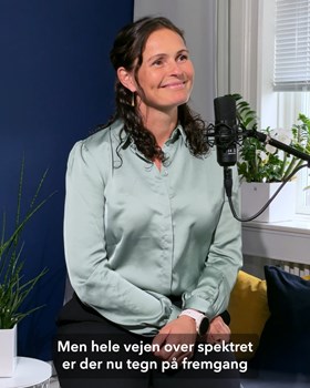 Opslagsbillede