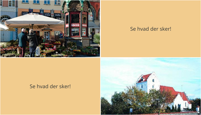 Tranekærs weekends højdepunkter: Frit marked og storslået nytårskoncert