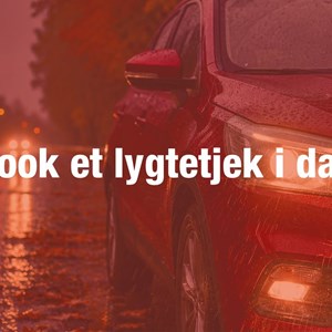 Opslagsbillede