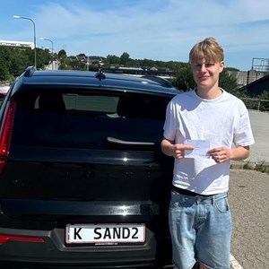 Opslagsbillede
