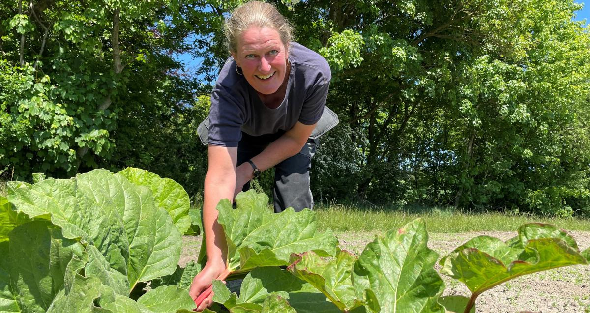 Se dagens updates fra Skagen her