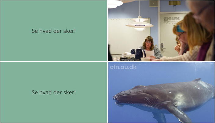 Få litterære og videnskabelige oplevelser i Jyllinge i den kommende uge