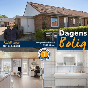 Opslagsbillede