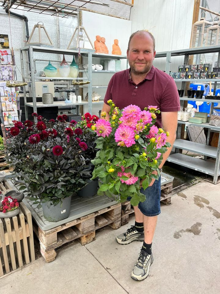 Nyt på opslagstavlen i Odder