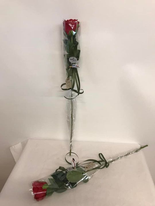 Opslagstavlen: Nyeste opdateringer fra Skive