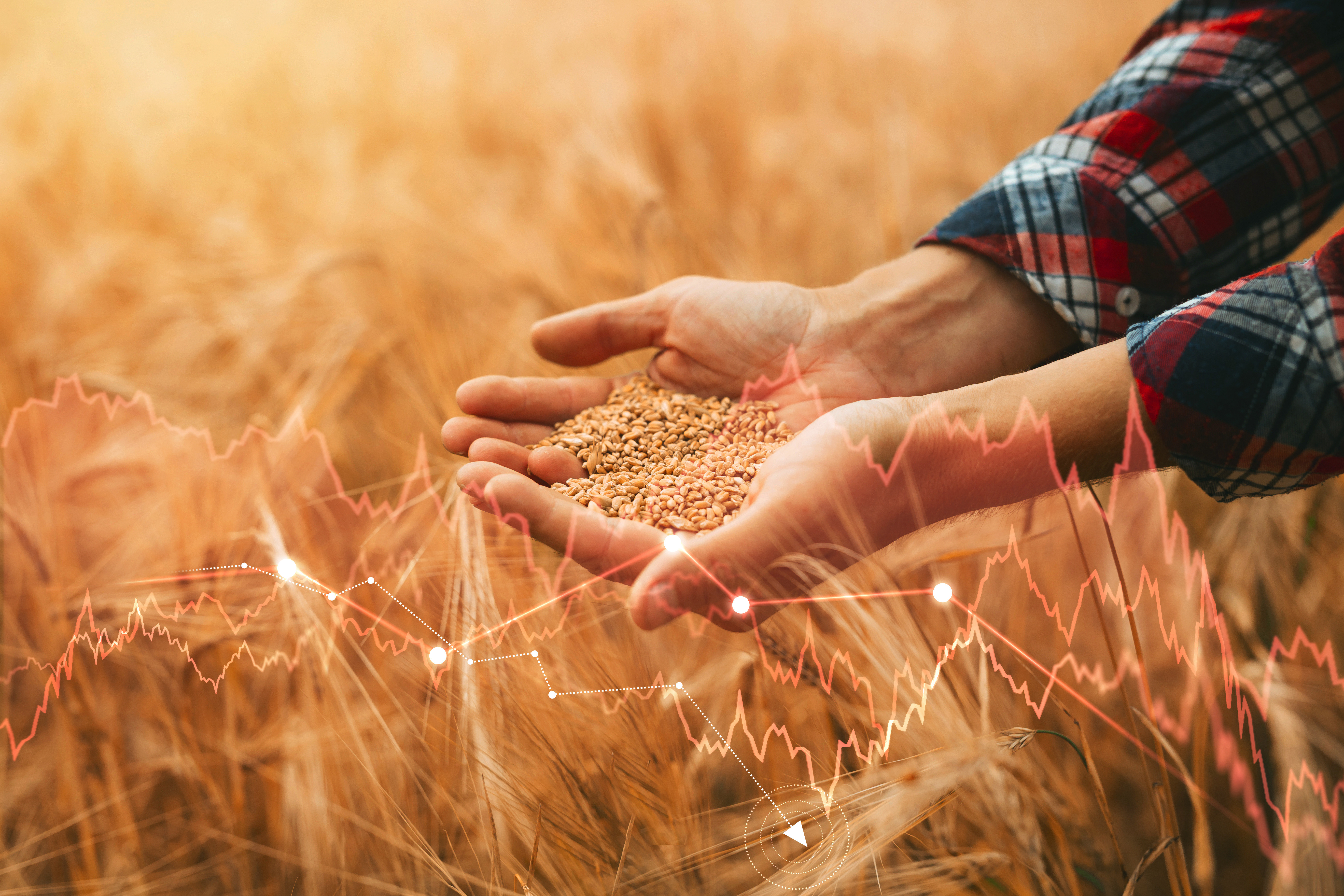 Foredrag om hverdagen under besættelsen i Paarup Sognegård