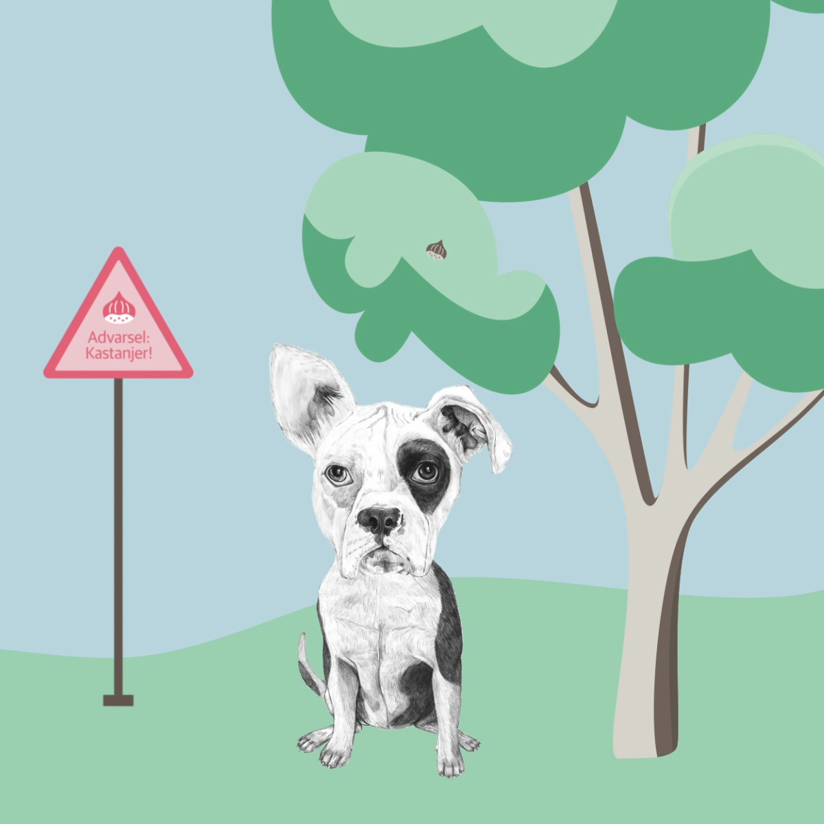 Opdatér dig her: Det nyeste fra Hjørring