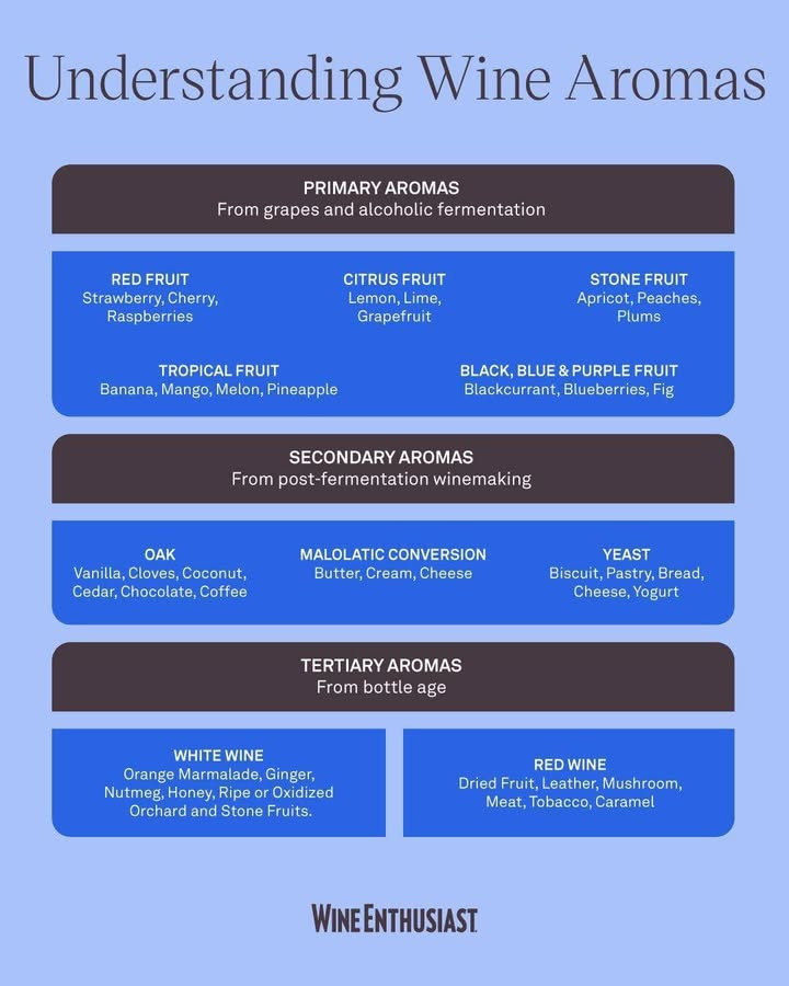 Lahvino Wine & Spirits: Opdag vinens tre aromalag og deres betydning
