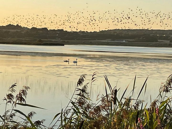 Hold dig ajour med dagens opdateringer fra Lystrup