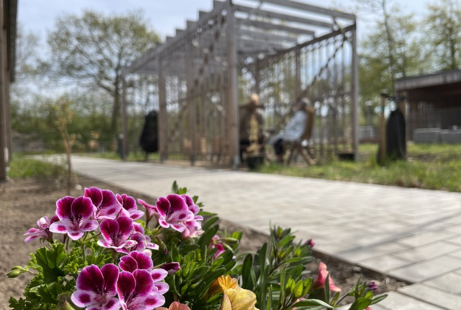 Hvordan genkende overgreb på personer med handicap: Temaaften i Skive kommune