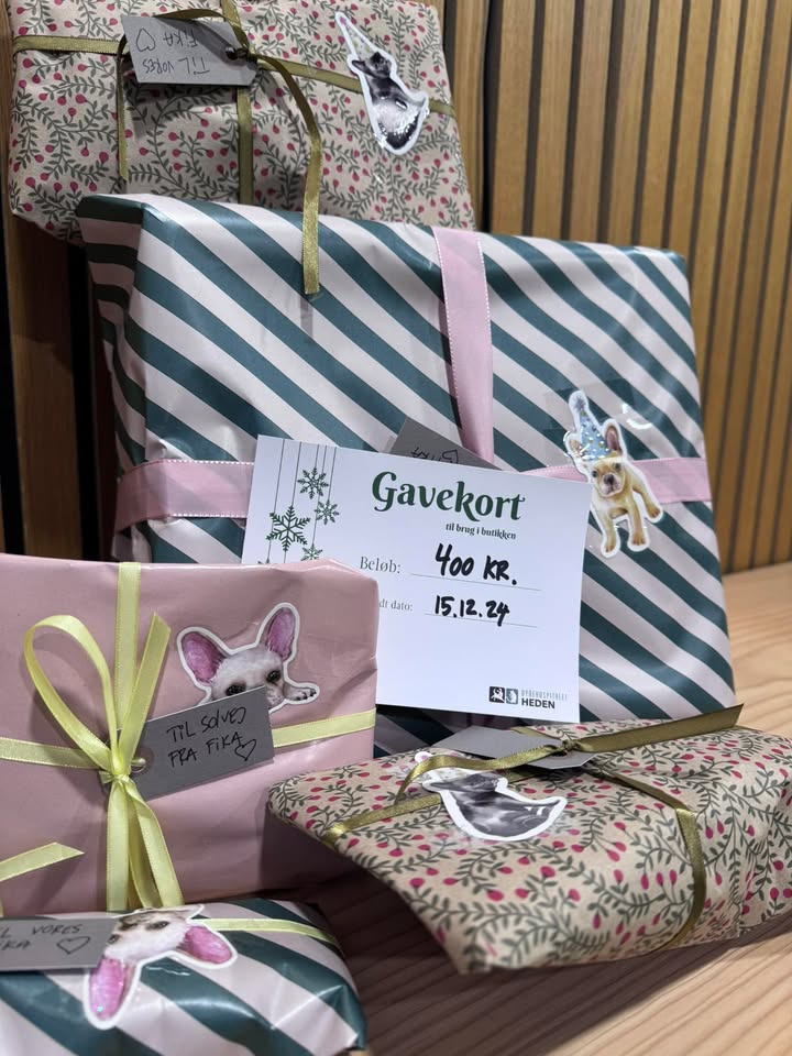 Vind et gavekort til din firbenede ven fra Dyrehospitalet Heden ApS
