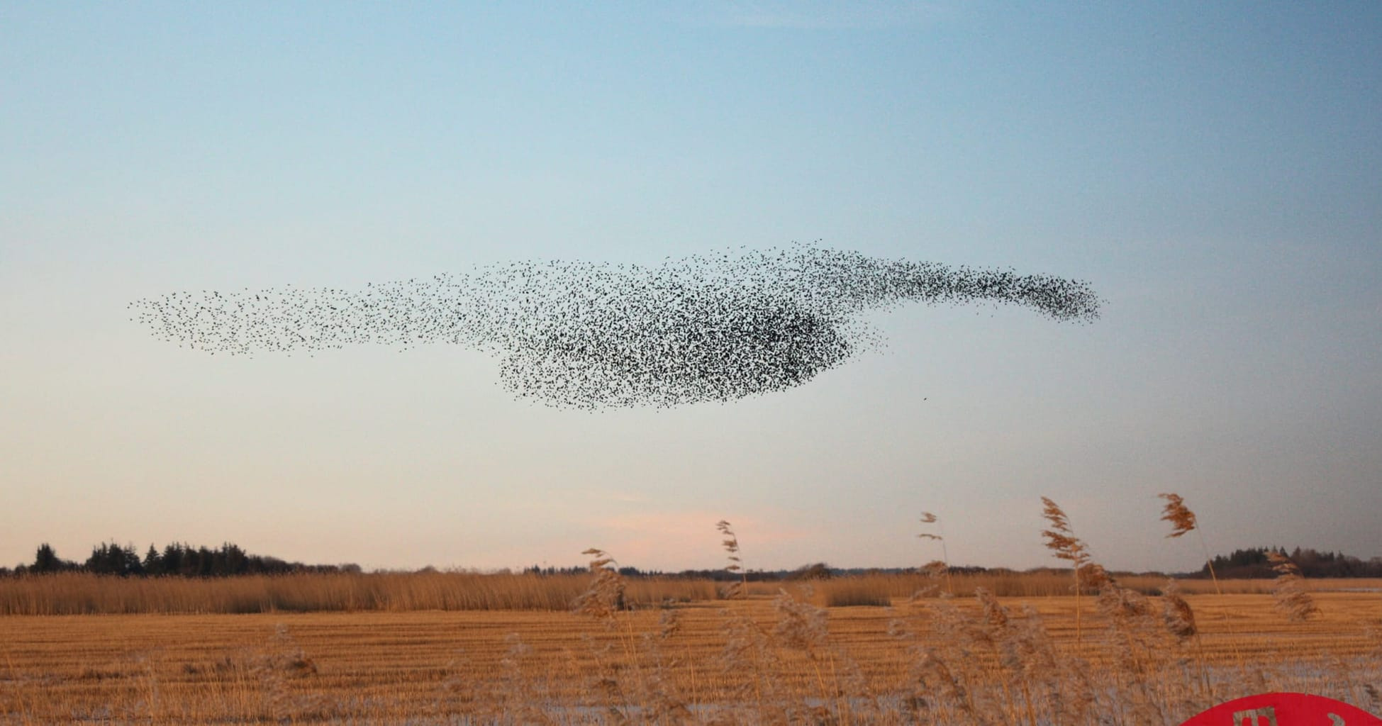 Teaterkoncerten "Sort Sol - Fladt Land" fejrer Teatret Møllens 50-års jubilæum