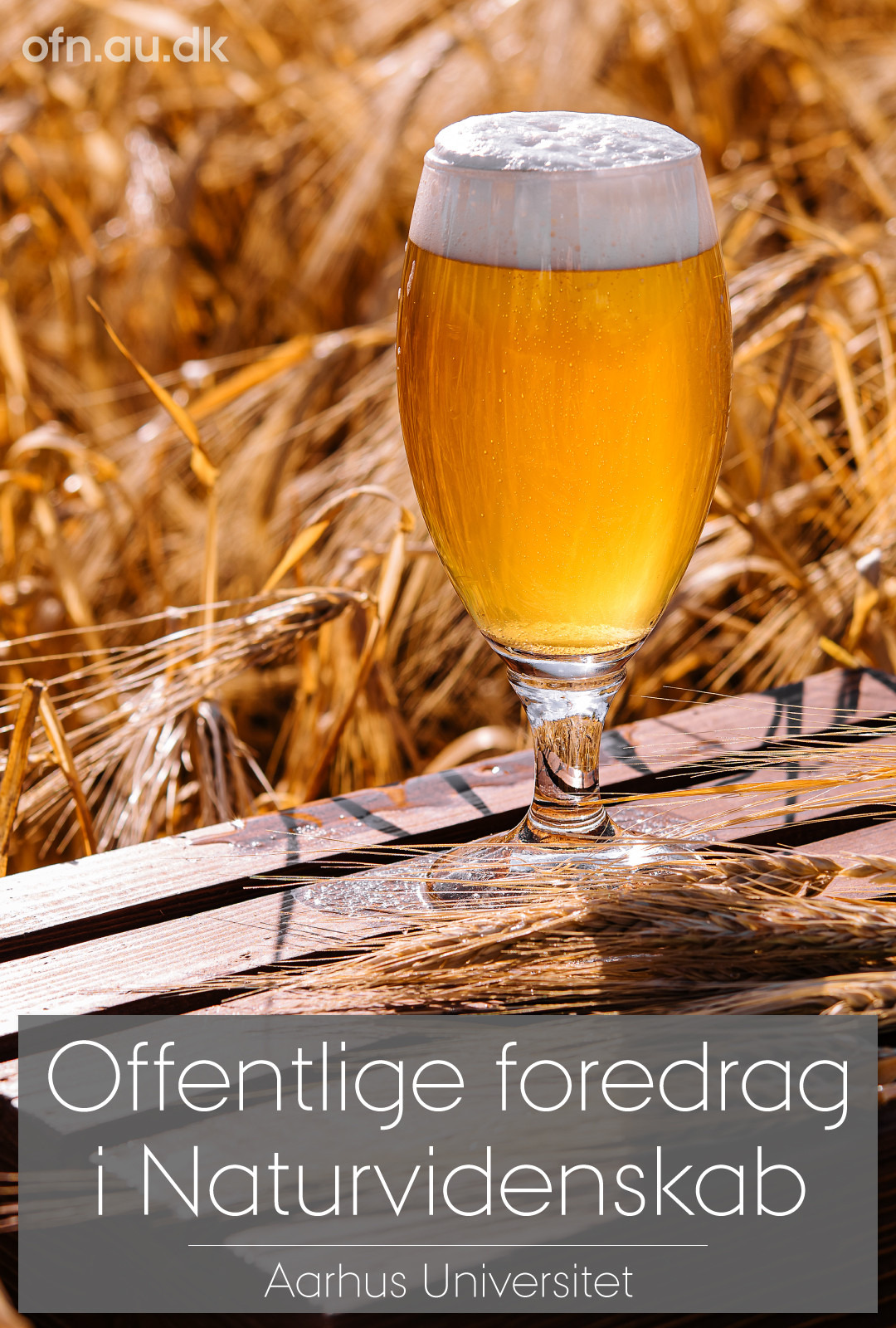 Videnskab og øl: Livestreamet foredrag fra Aarhus Universitet