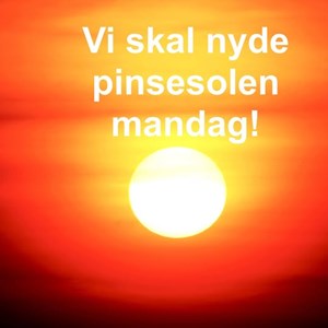 Opslagsbillede