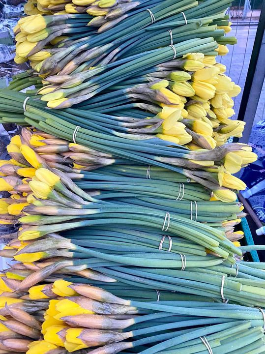 Se dagens updates fra Viby J her