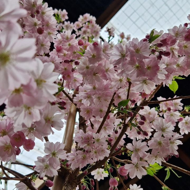 Det nyeste på Hobros opslagstavle