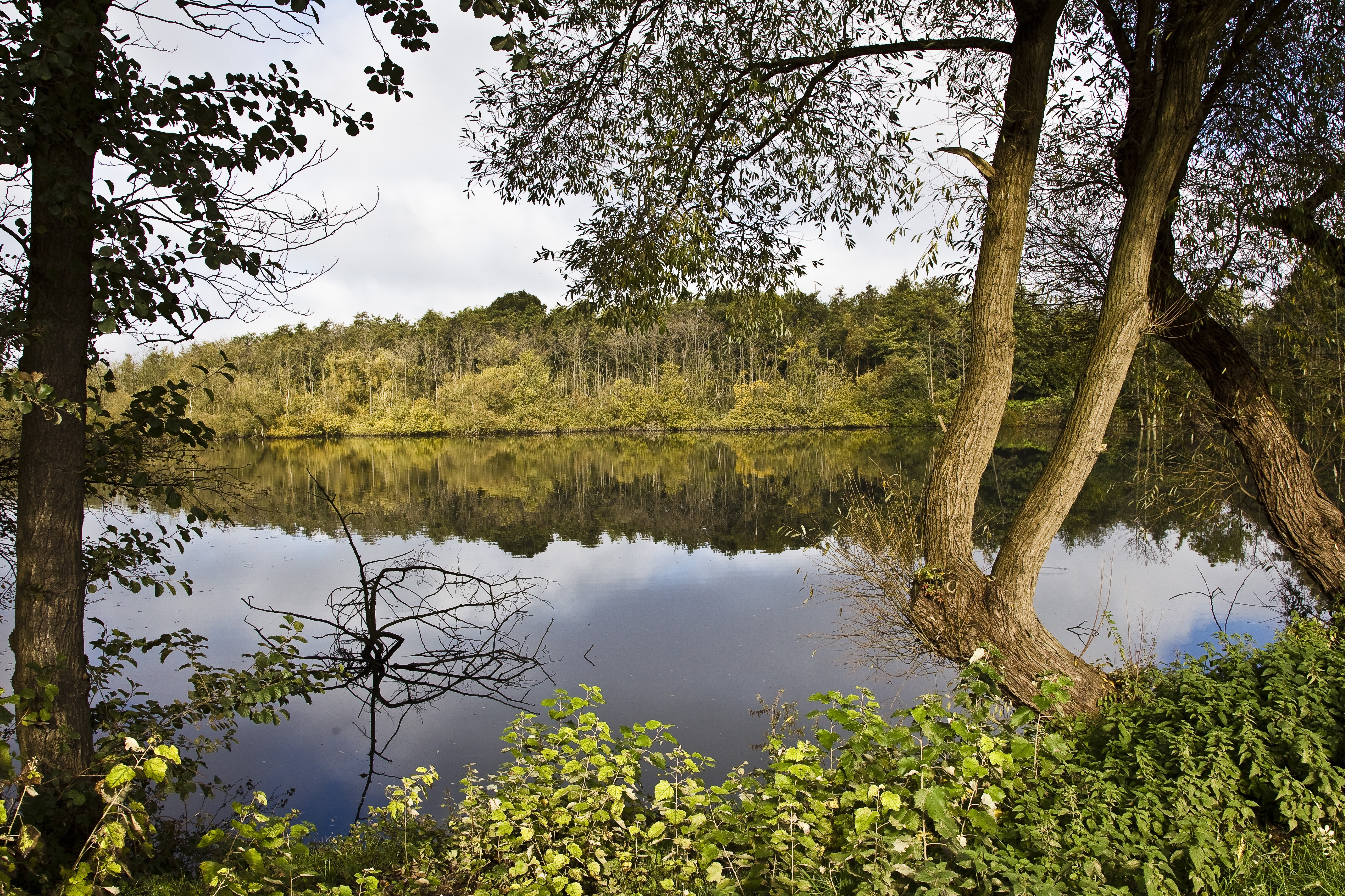 Sønderborg vil styrke natur og biodiversitet med nye omlægningsplaner
