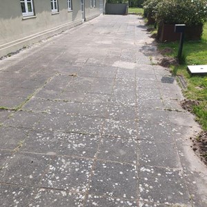 Opslagsbillede