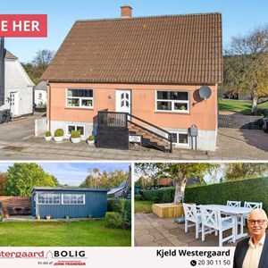Opslagsbillede