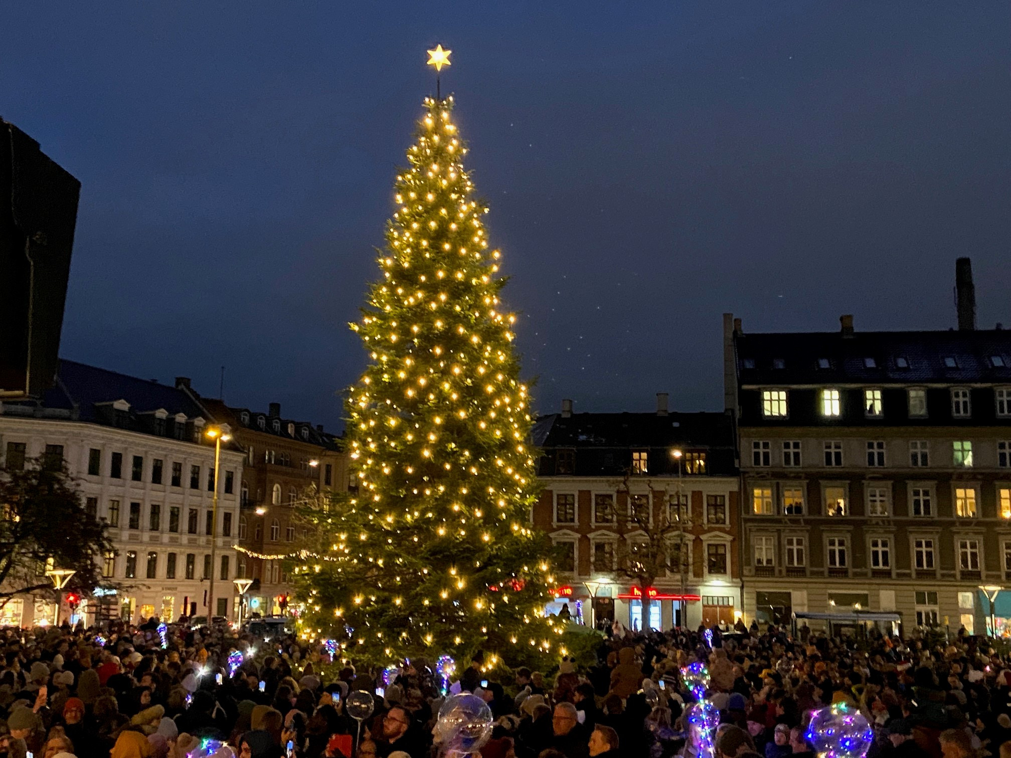 Julestemning på Frederiksberg Rådhusplads: Traditionel juletræstænding