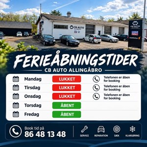 opslagsbillede