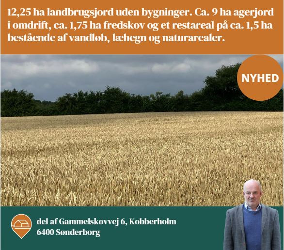 Landbogruppen Sønderjysk præsenterer: 12,25 ha jord til salg i Sønderborg