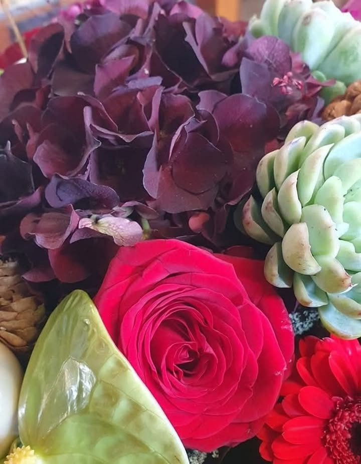 Jule- og nytårs åbningstider hos Asmild Plantecenter ApS