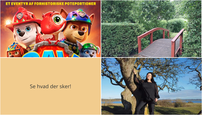 Oplev Ringkøbing denne weekend: Vulkaner, kolonihaver og musik