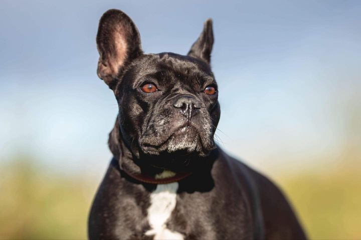 Det nyeste på Sæbys opslagstavle