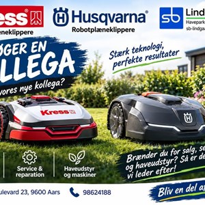 Opslagsbillede