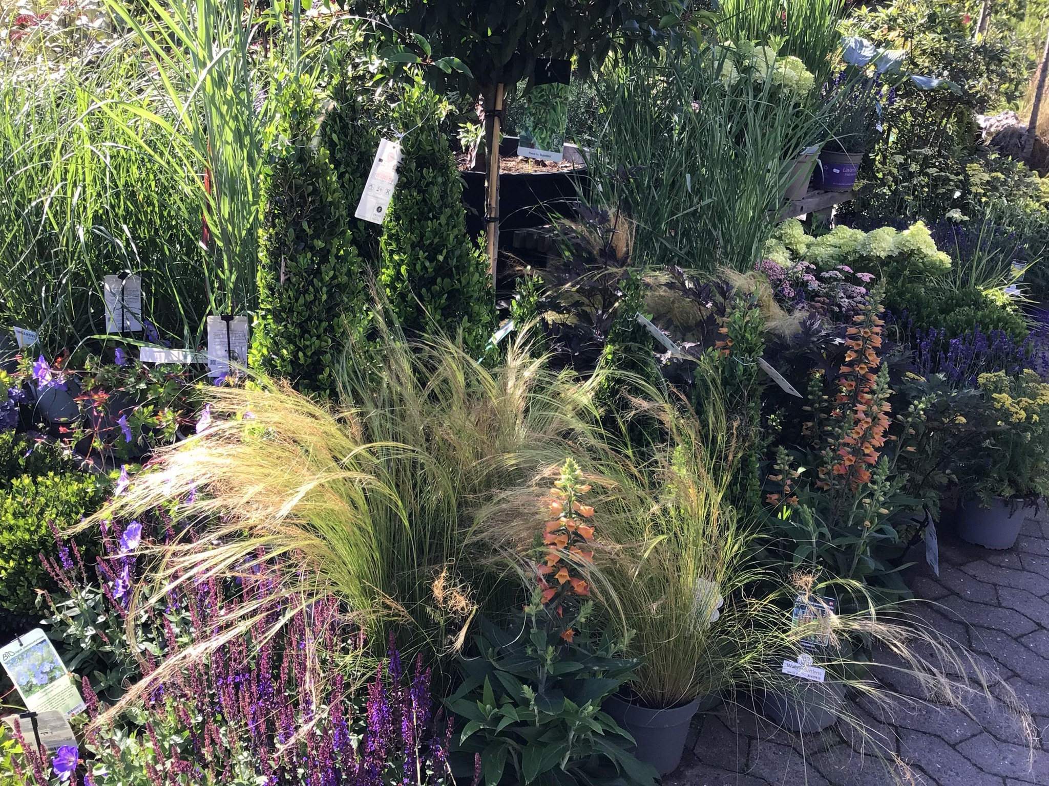 Årets store havedag fejres i Esbjerg