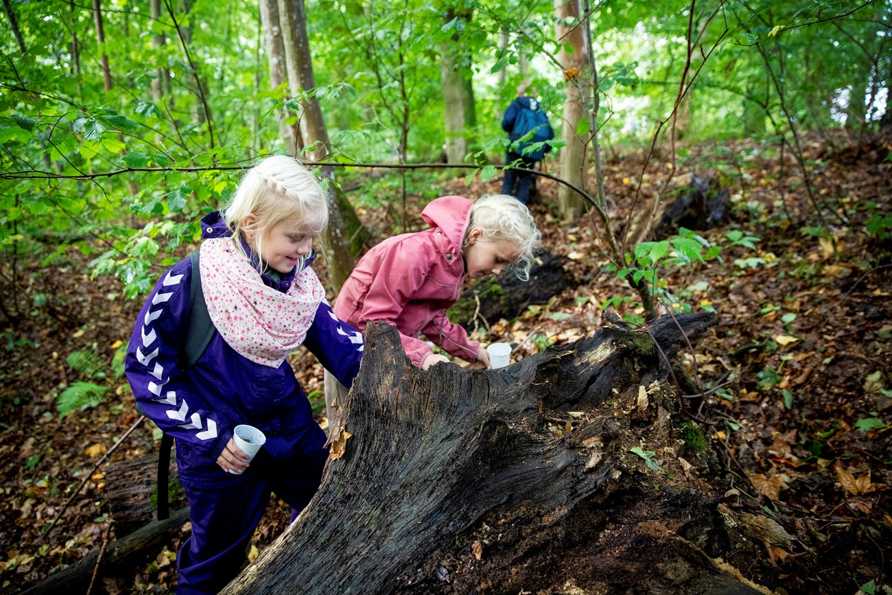 Sigurd Barrett får premiere på helt ny sang på Naturskolen