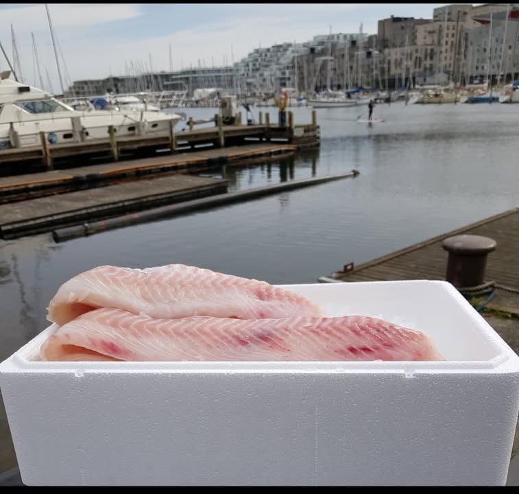 MENY Hobro tilbyder bindende ja tak-tilbud på lyssejfilet til afhentning 5. marts