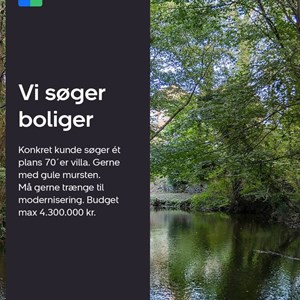 Opslagsbillede
