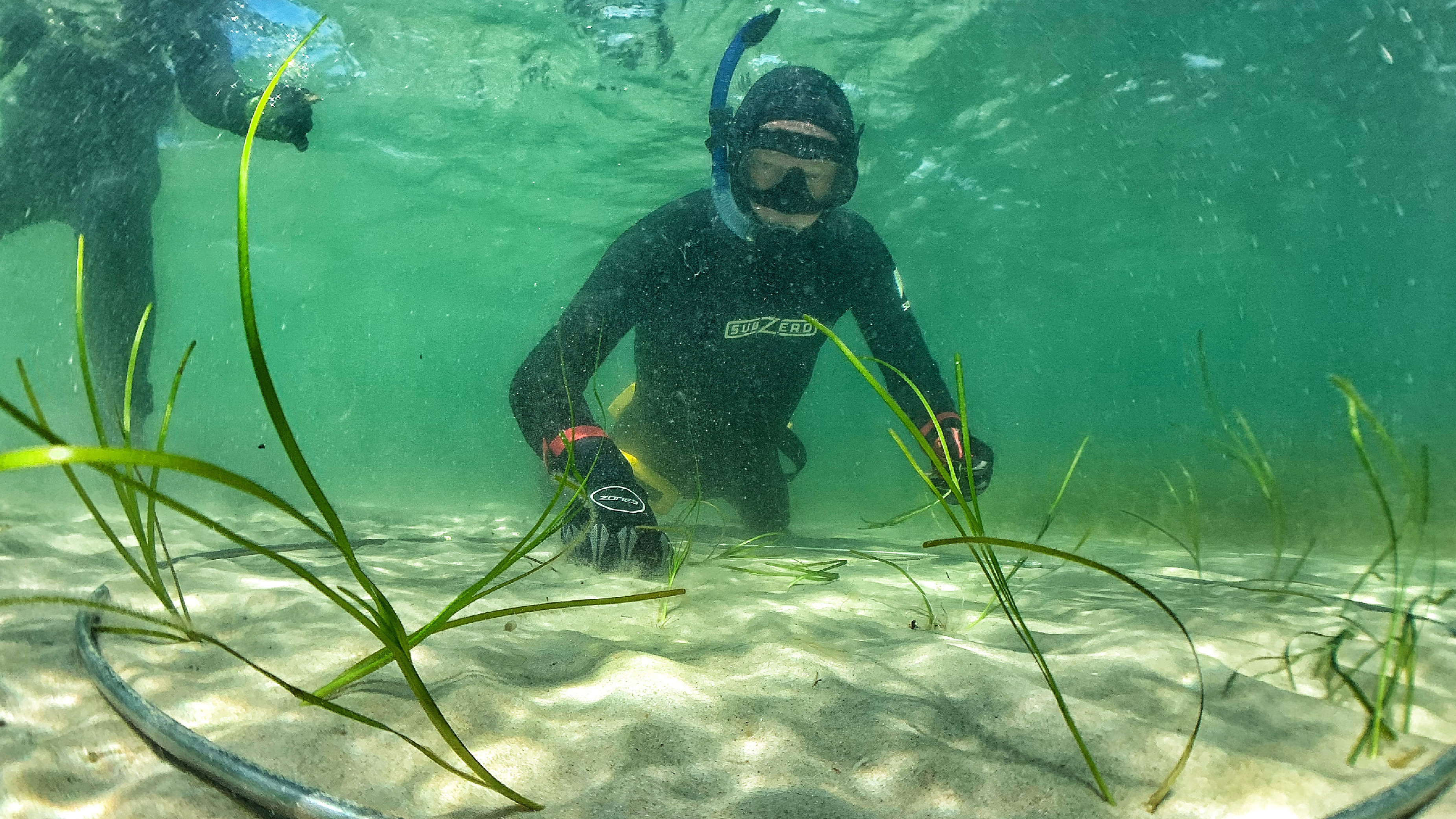 Kattegatcentret inviterer østjyderne til at give Randers Fjord en hjælpende hånd
