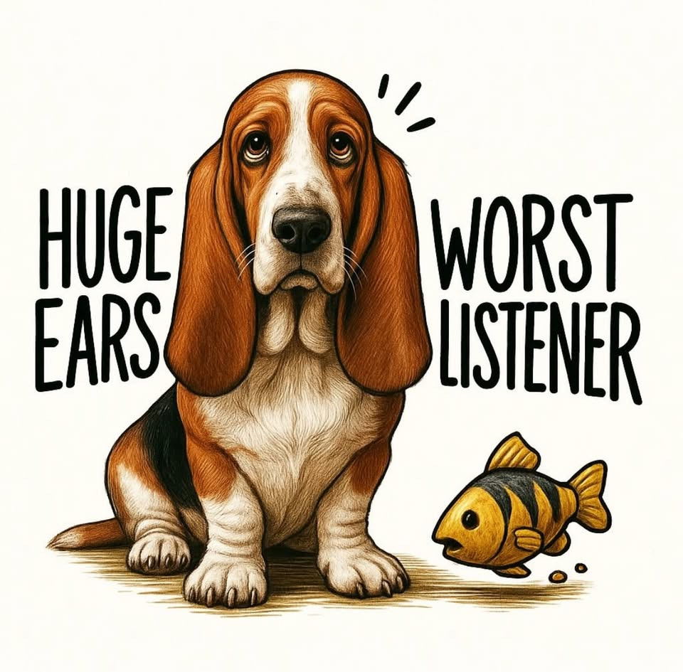 Strandtur med B&B babyer byder på sommerhygge i Aabenraa